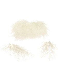 Plumes de marabout crème 
