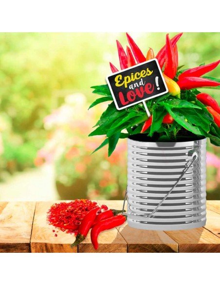 Plaque jardin Épices