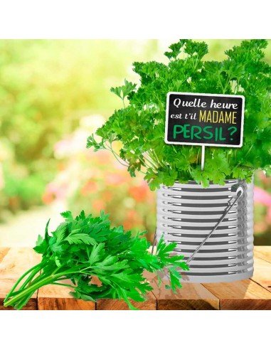 Plaque jardin Persil