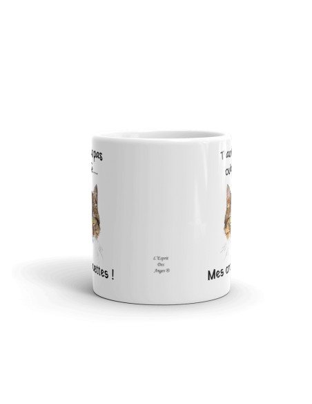 Tasse-Mug Humour Chat-T'aurais Pas Oublié Mes Croquettes- Céramique Blanche 350 ml Ø 8.2 cm Haut 9.8 cm