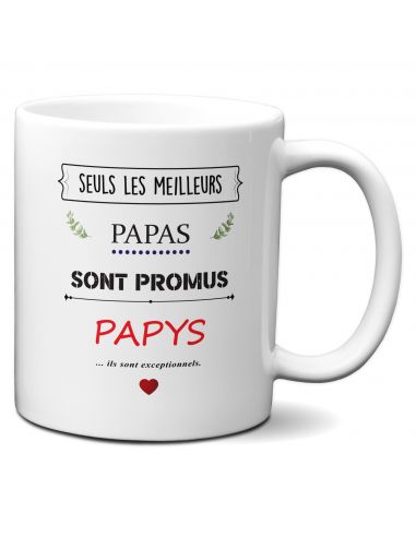 Tasse Mug Papas Exceptionnels Papys - Annonce Grossesse Papa Naissance Enfant -Idée Cadeau