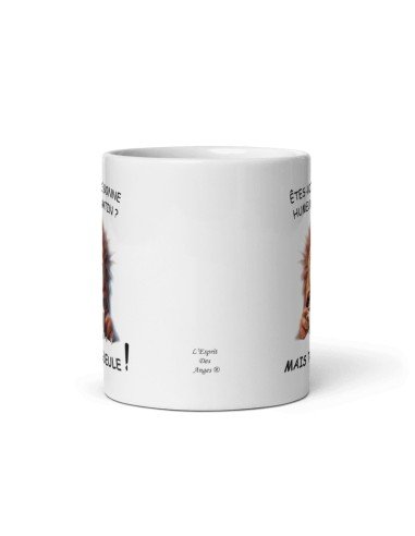 Tasse Mug Cadeau Humour  Original - Bonne Humeur Matin Ta Gueule - Amusant Rigolo Papa Maman Collègue Ami